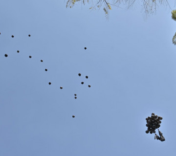 मूल्यवृद्धिको विरोधमा एमाले कार्यकर्ताले सिंहदरबारमा उडाए कालो बेलुन (फोटो फिचर)